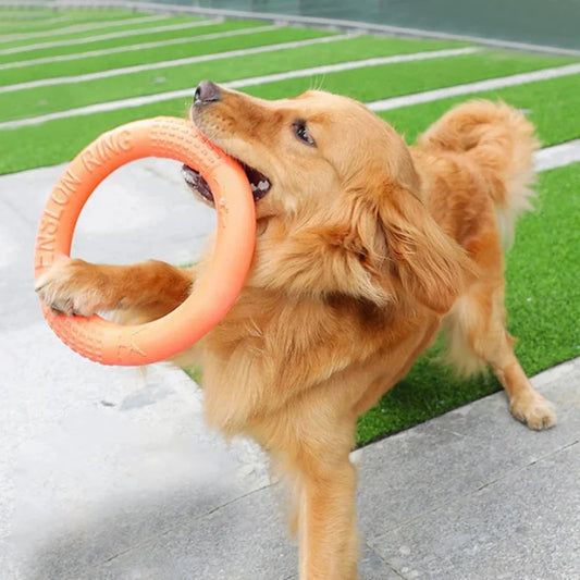 "Floating Chew Ring – Ultra-Durable Toy for Fetch