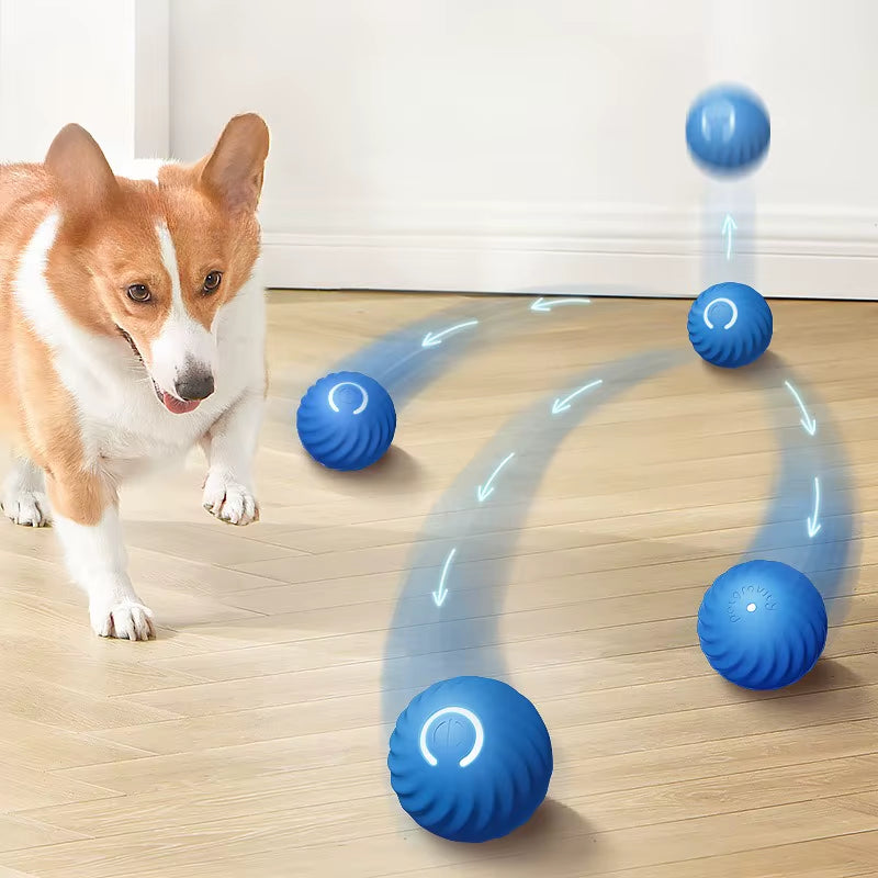 Automatic Moving Smart Dog Ball
