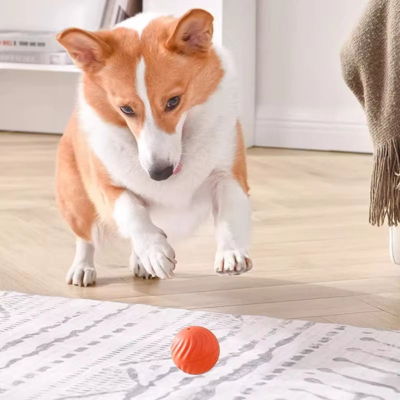 Automatic Moving Smart Dog Ball