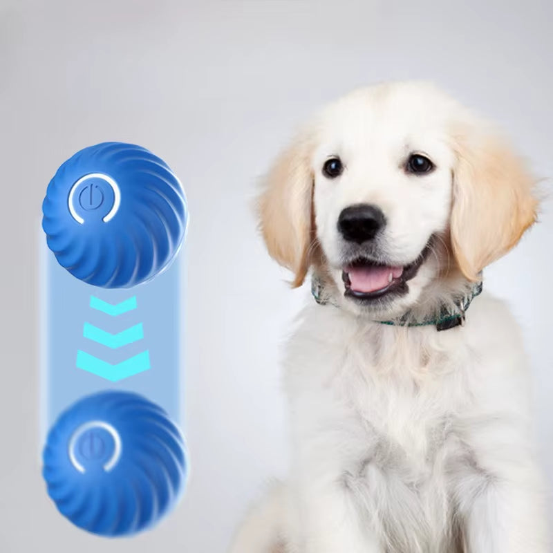 Automatic Moving Smart Dog Ball